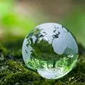 Entretien jardin